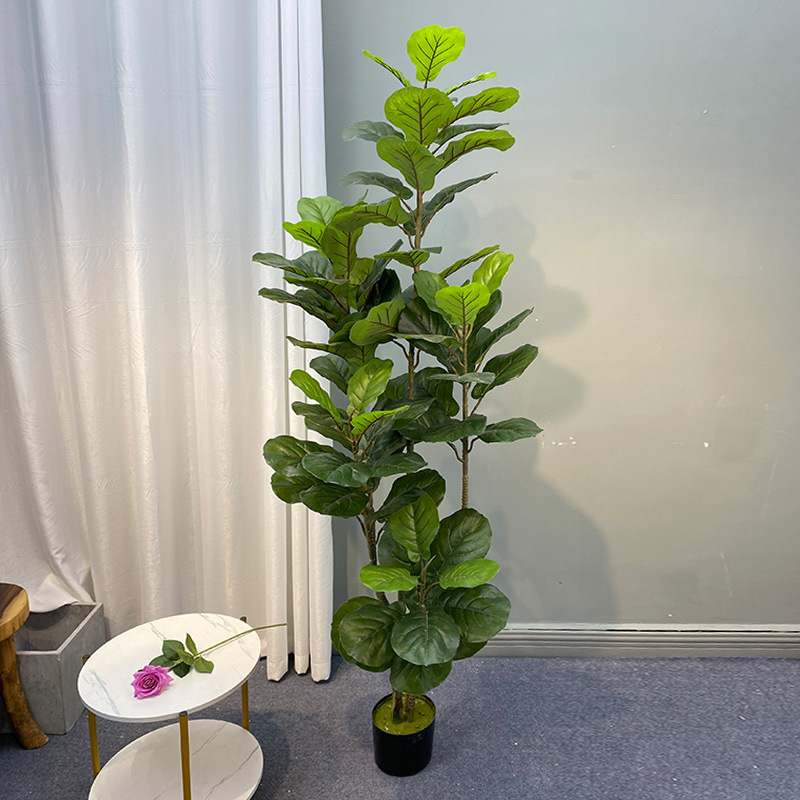 Ficus Lyrata Tree - Plantas Artificiais De Grande Árvore De