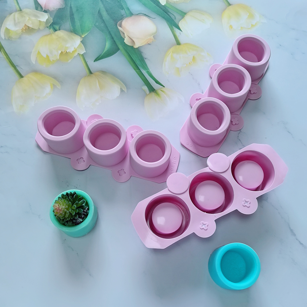 Echeveria Succulent - Molde de silicone para vasos de