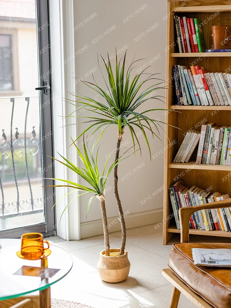 Dracaena Marginata - Simulação de luxo leve planta verde