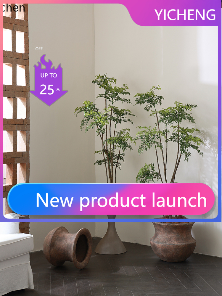 Ficus Lyrata Tree - Vaso de Chão LYY com Planta