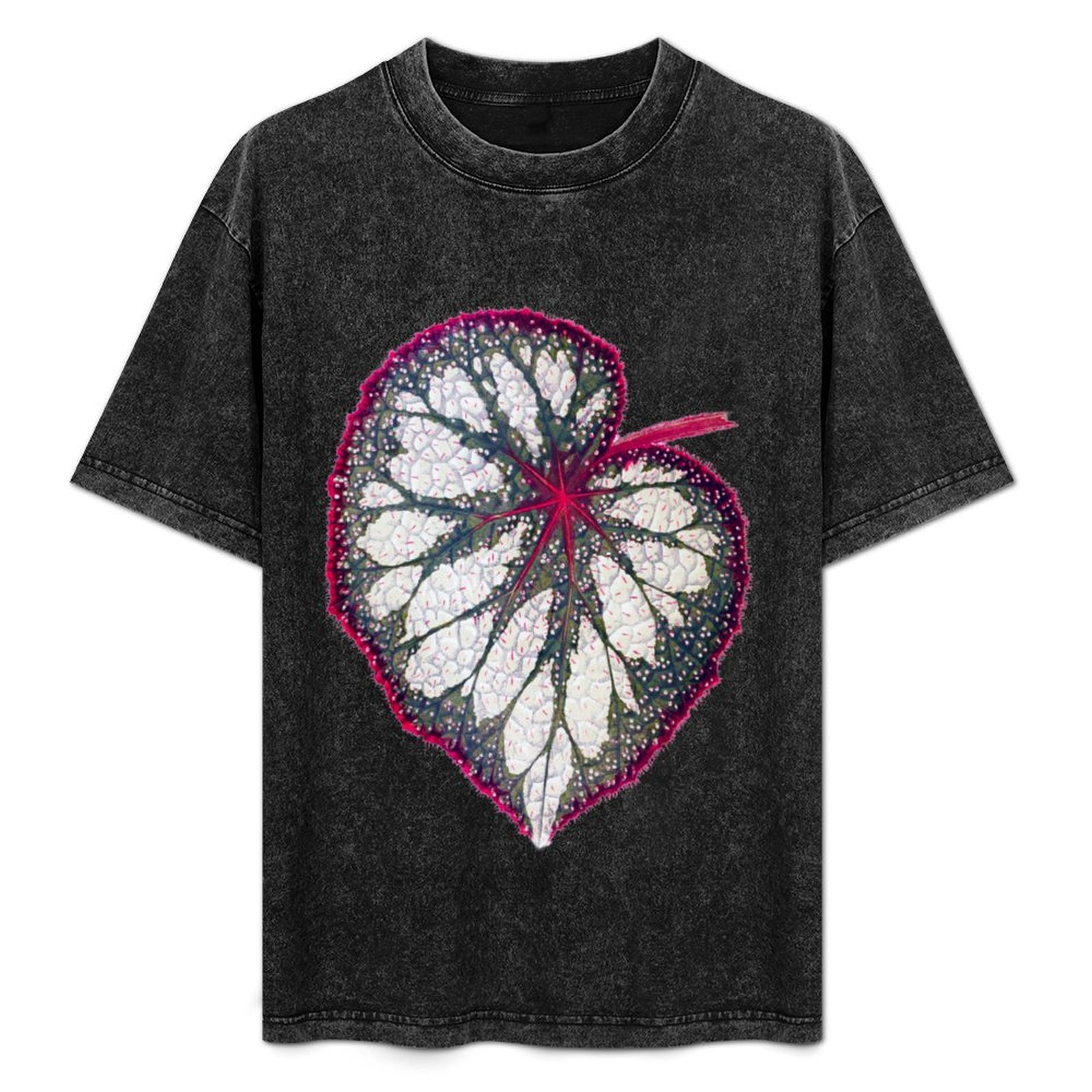 Begonia Rex - Camiseta Begonia rex, camiseta simples para