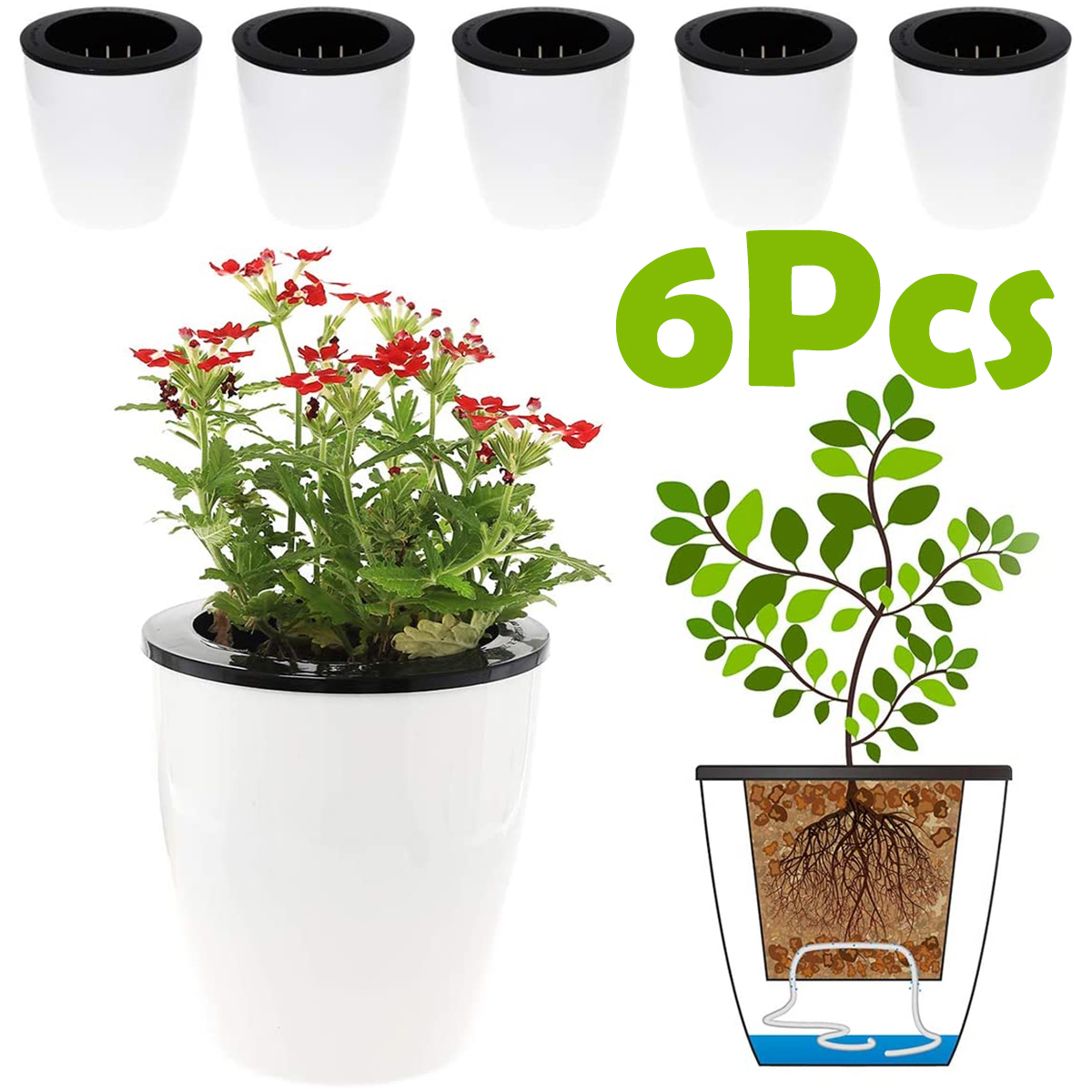 Echeveria Succulent - Vasos de flores com rega automática,