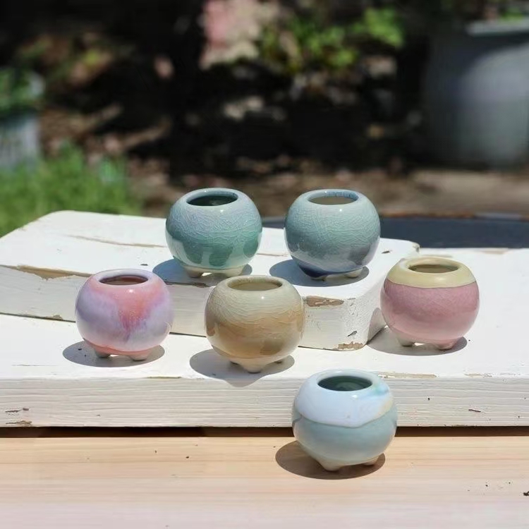 Echeveria Succulent - 6 pçs mini vaso de flores