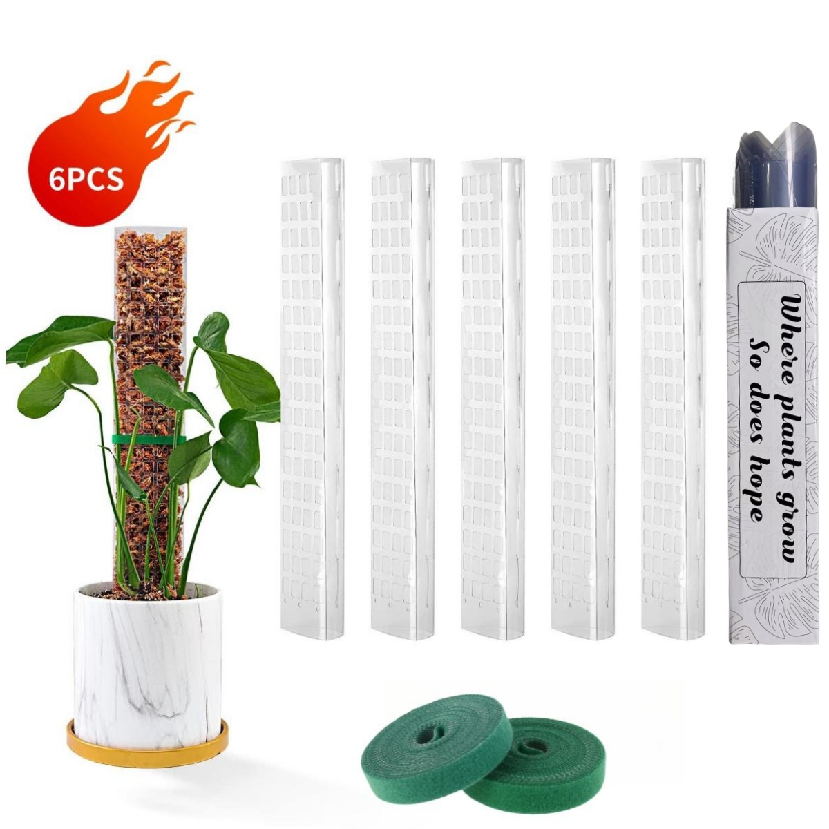 Pólos de musgo plantas suporte - Echeveria Succulent avaliação e preço