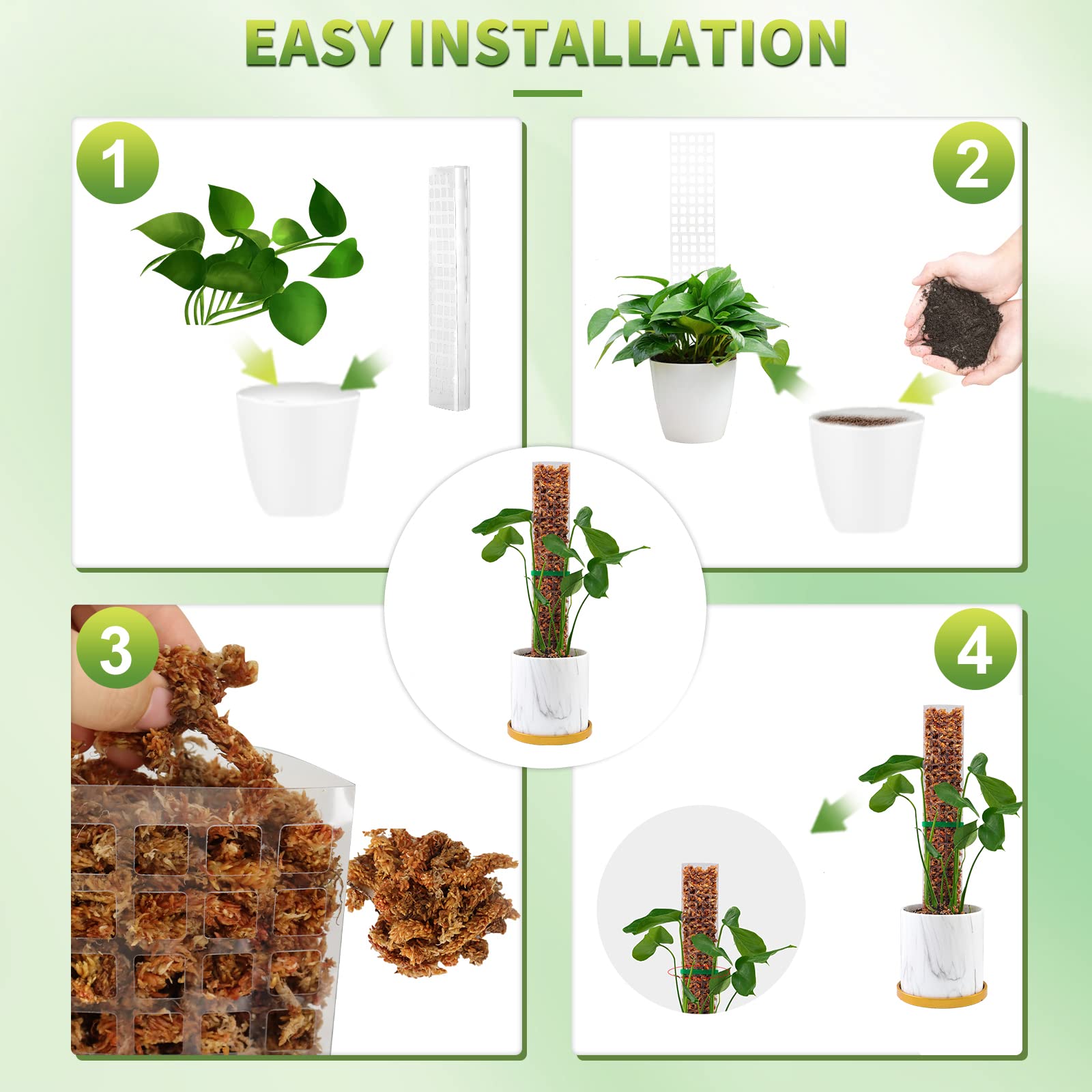 Pólos de musgo plantas suporte - Echeveria Succulent avaliação e preço