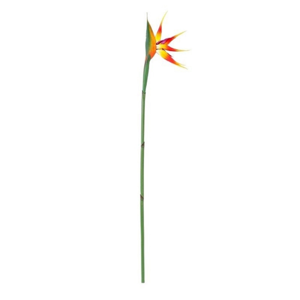 Nova Planta Artificial de Hast - Bird Paradise Strelitzia avaliação e preço