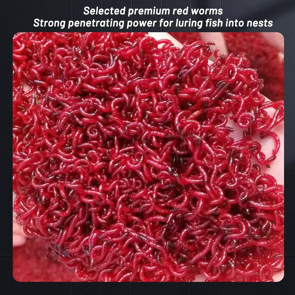 Aditivo concentrado de isca lí - Aglaonema Red avaliação e preço