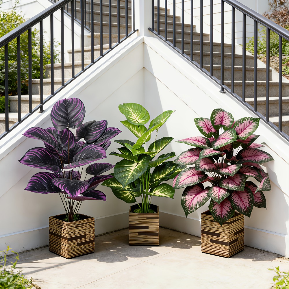 Conjunto de 3 Peças de Plantas - Ficus Lyrata Tree avaliação e preço