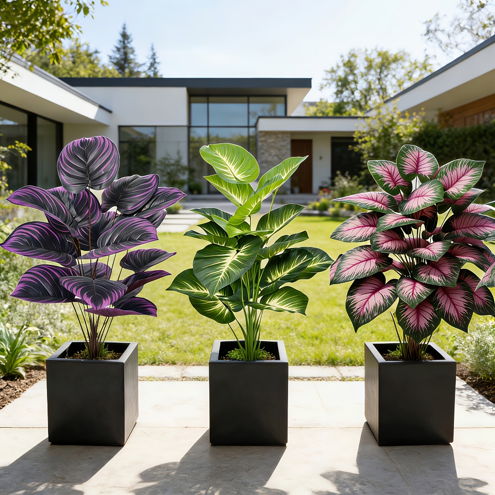 Conjunto de 3 Peças de Plantas - Ficus Lyrata Tree avaliação e preço