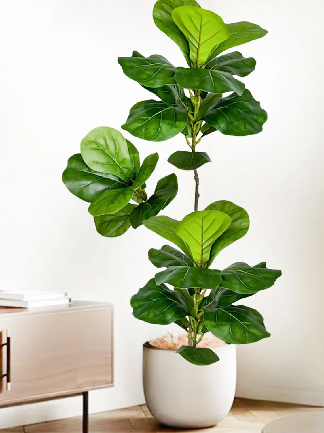 Árvore Artificial Ficus Lira d - Ficus Lyrata Tree avaliação e preço