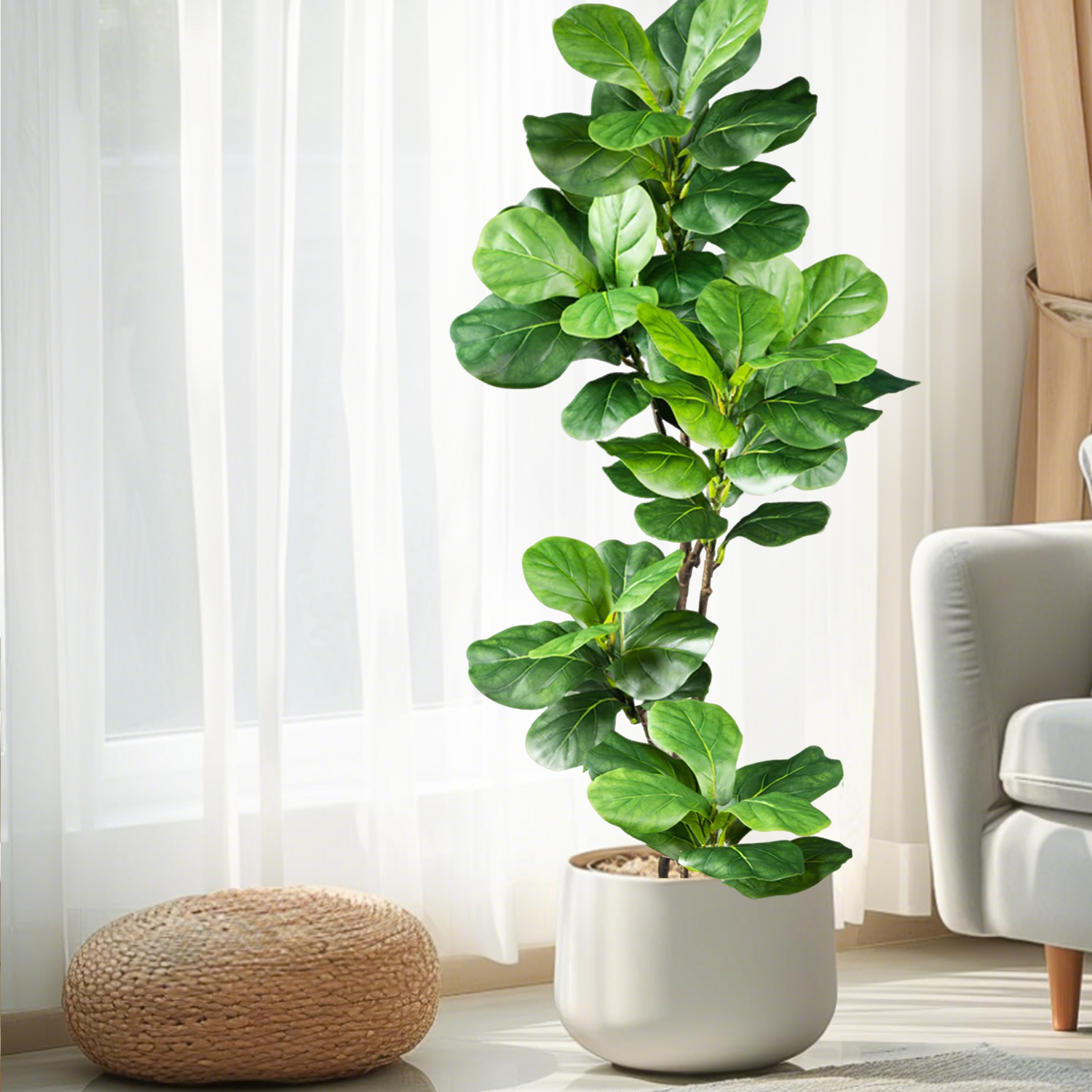 Árvore Artificial Ficus Lira d - Ficus Lyrata Tree avaliação e preço