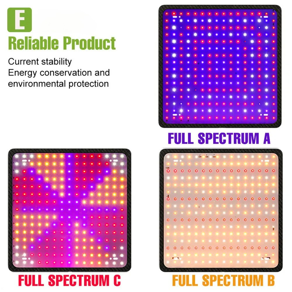 400w led cresce a luz espectro - Echeveria Succulent avaliação e preço