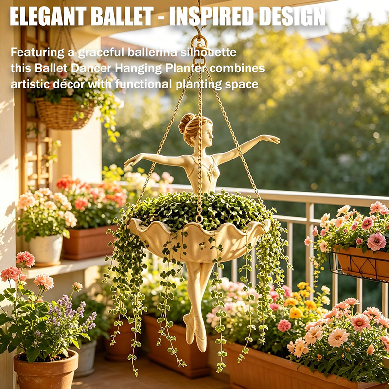 Vaso Suspenso Bailarina com Co - Spider Plant Hanging avaliação e preço