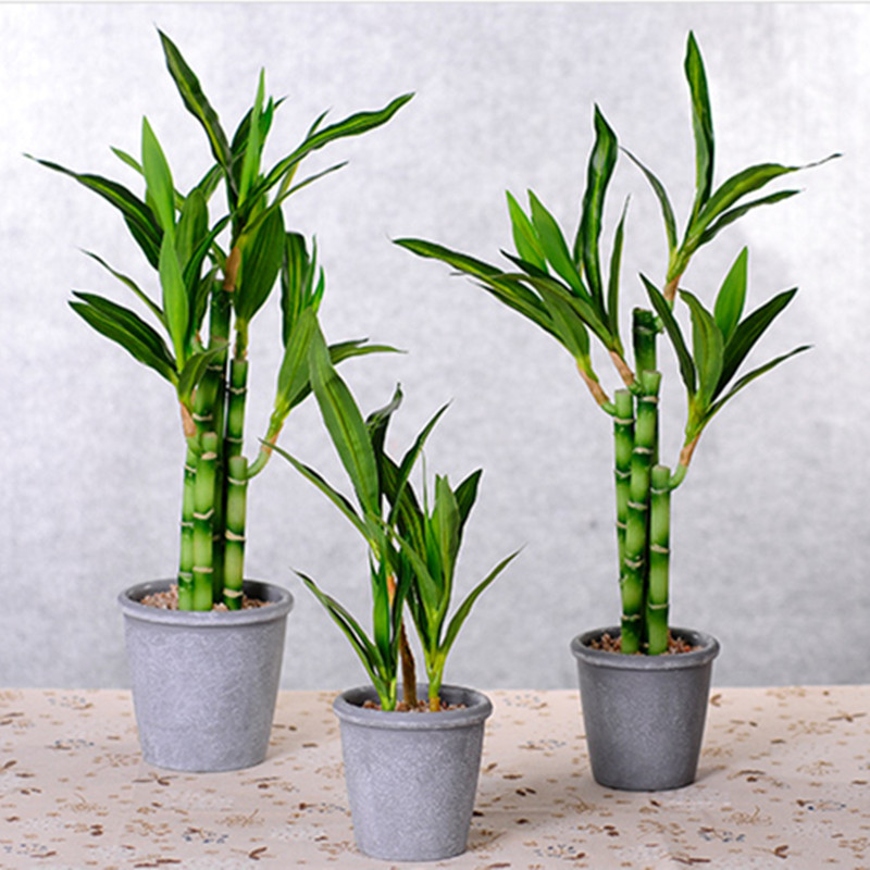 Novo 40cm rftificial sorte bam - Echeveria Succulent avaliação e preço