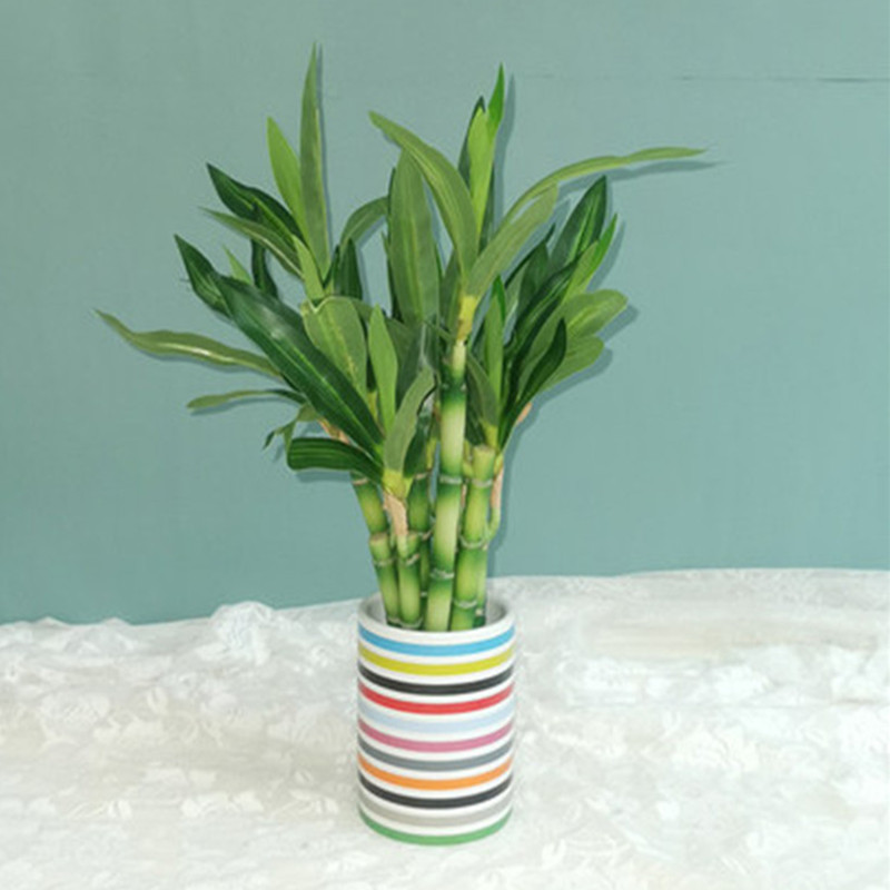 Novo 40cm rftificial sorte bam - Echeveria Succulent avaliação e preço