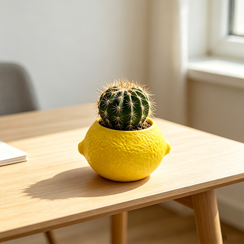 Vaso Decorativo em Forma de Li - Echeveria Succulent avaliação e preço
