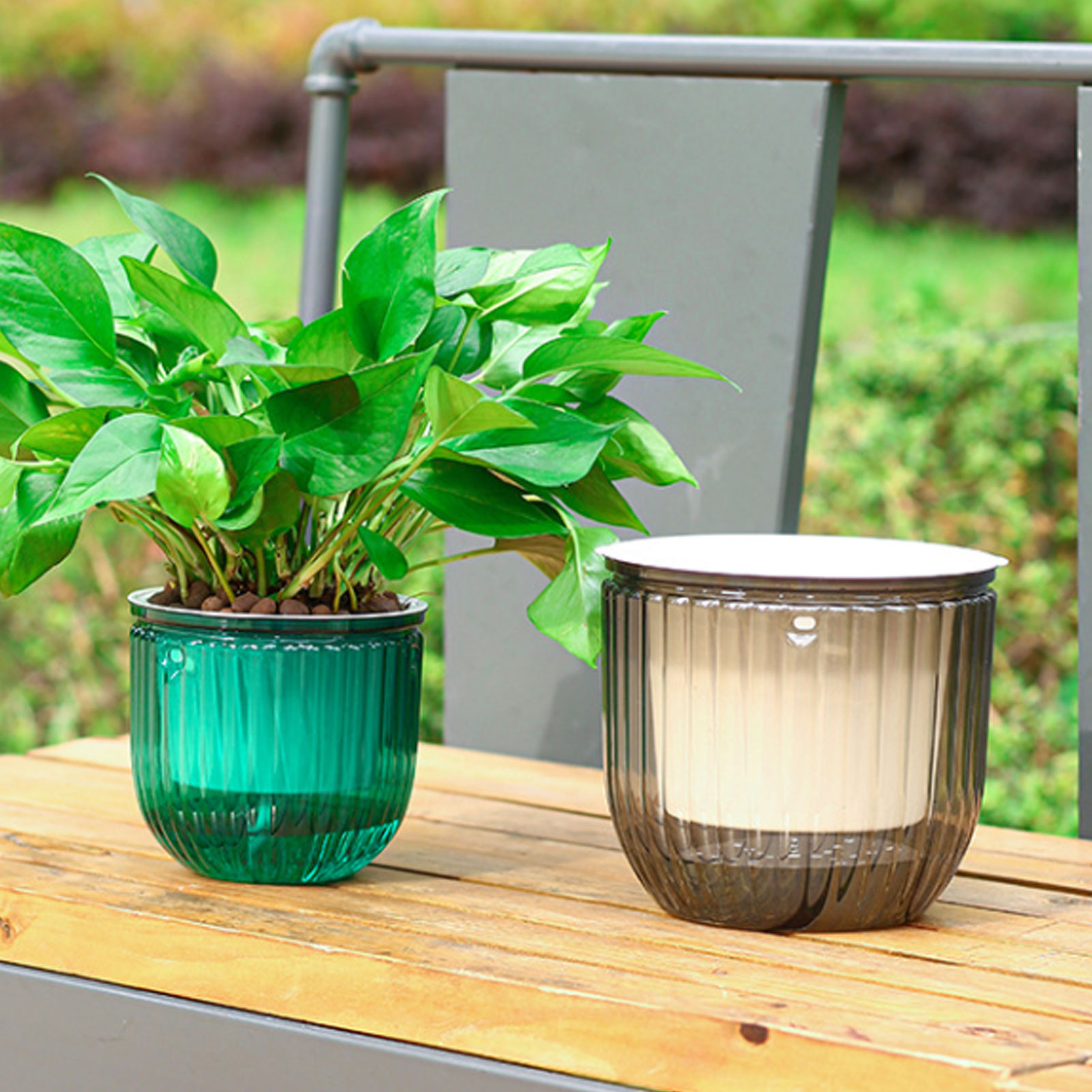Vasos de plantas com irrigação - Spider Plant Hanging avaliação e preço