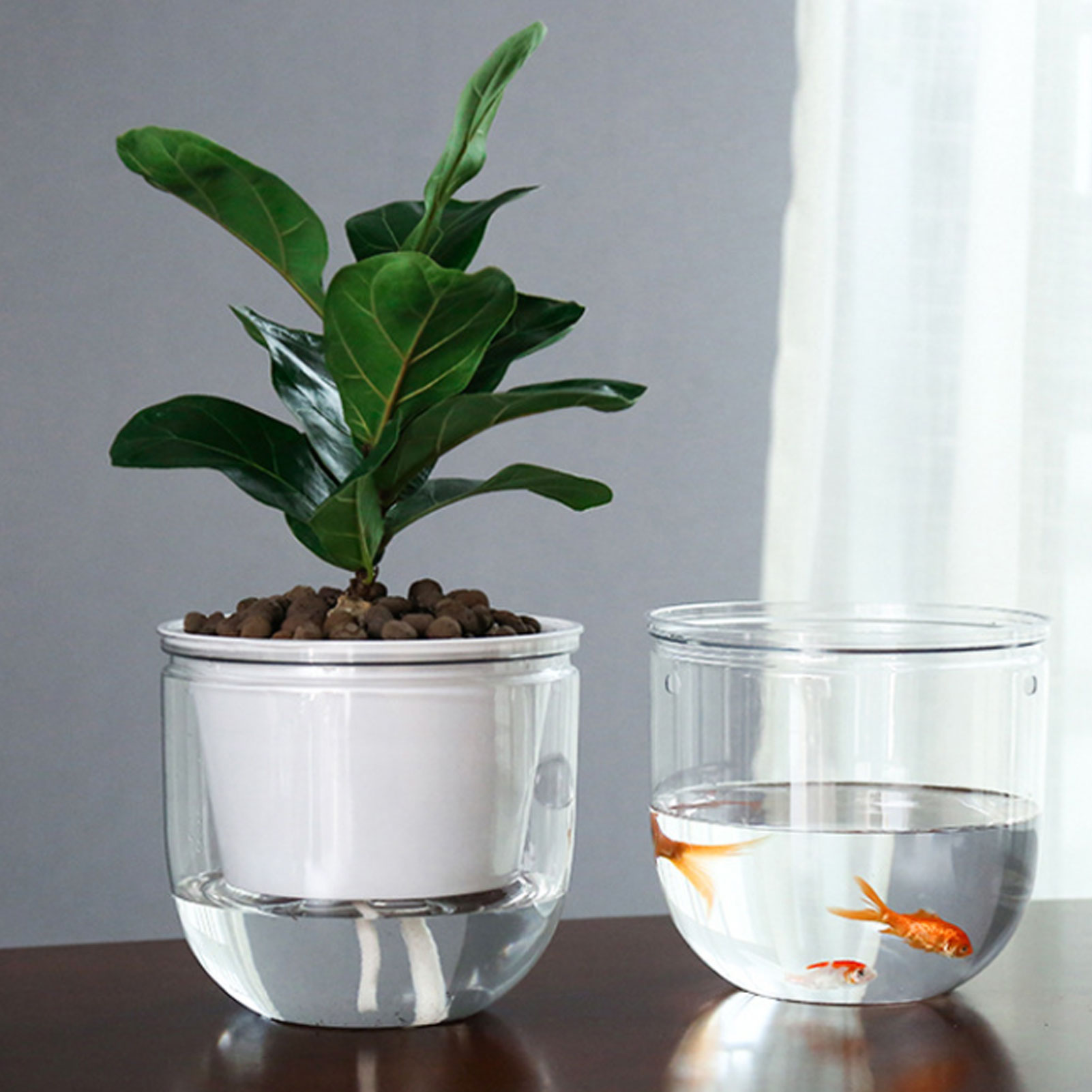 Vasos de plantas com irrigação - Spider Plant Hanging avaliação e preço