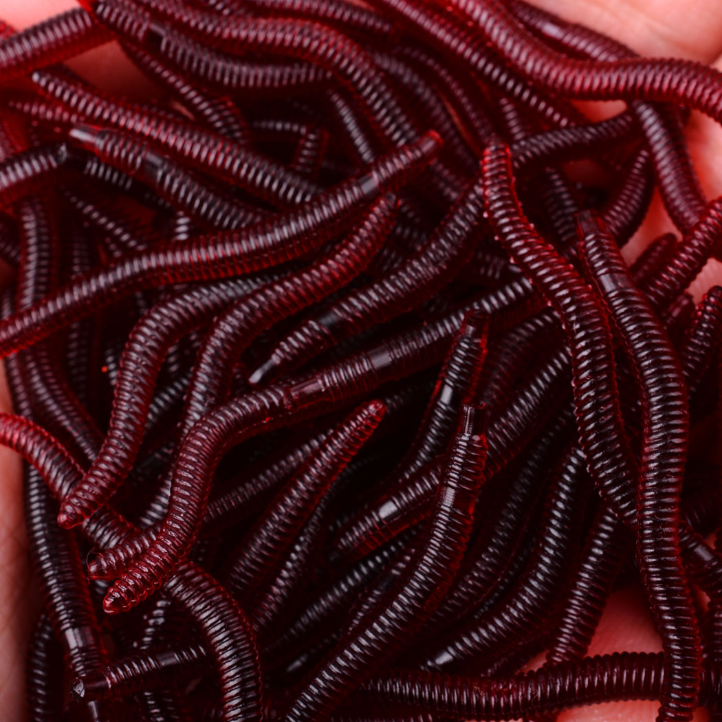 50 pçs lifelike worm vermelho  - Aglaonema Red avaliação e preço