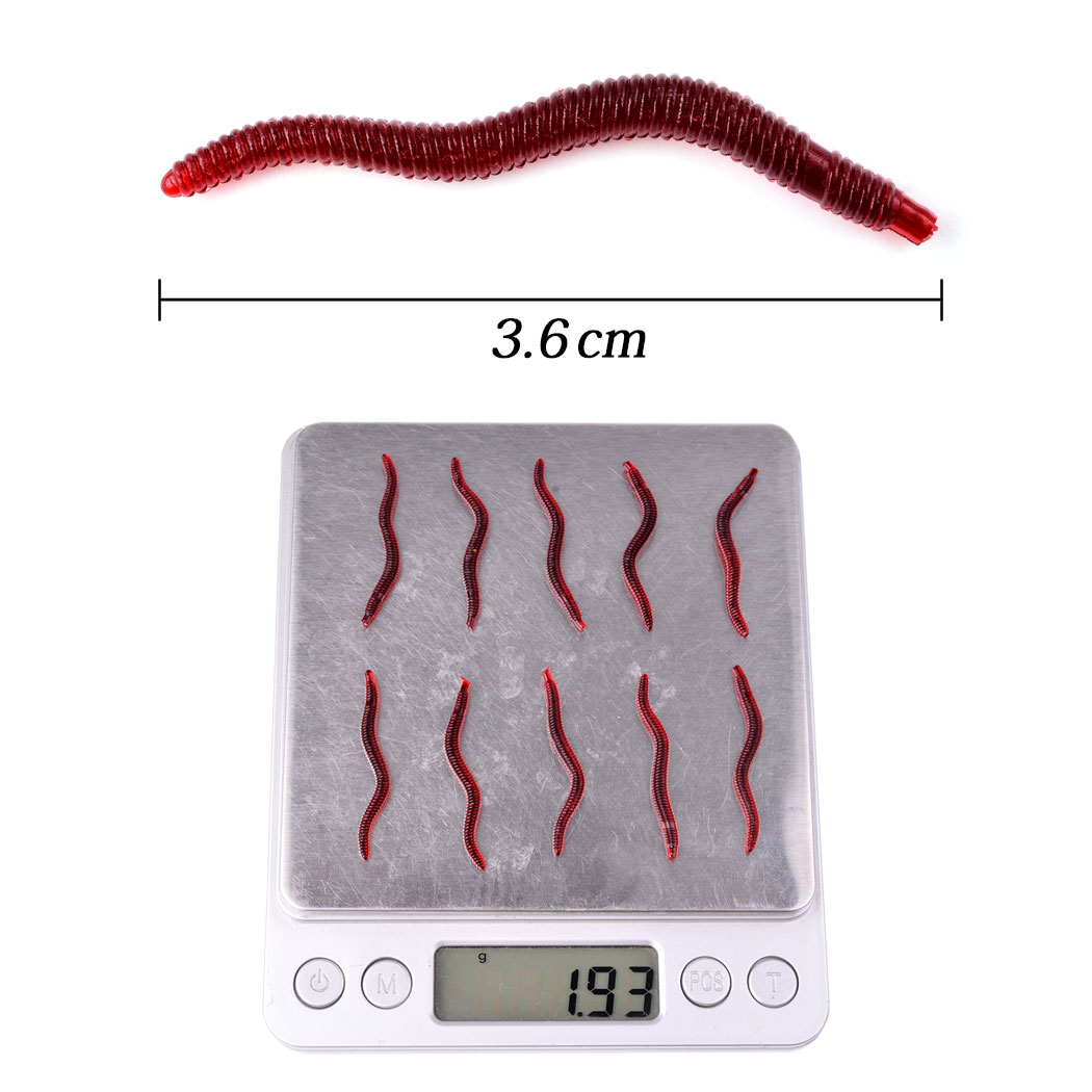 50 pçs lifelike worm vermelho  - Aglaonema Red avaliação e preço