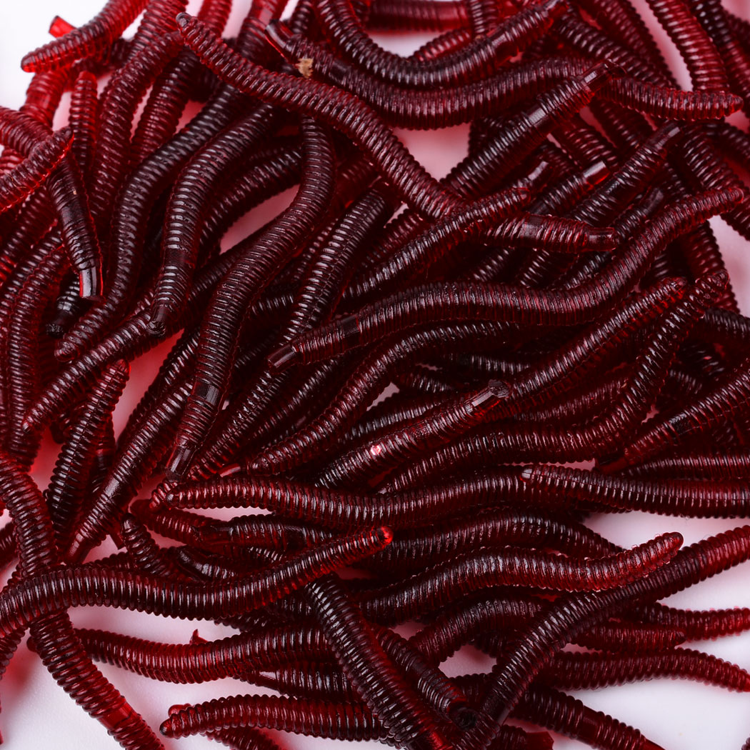 50 pçs lifelike worm vermelho  - Aglaonema Red avaliação e preço