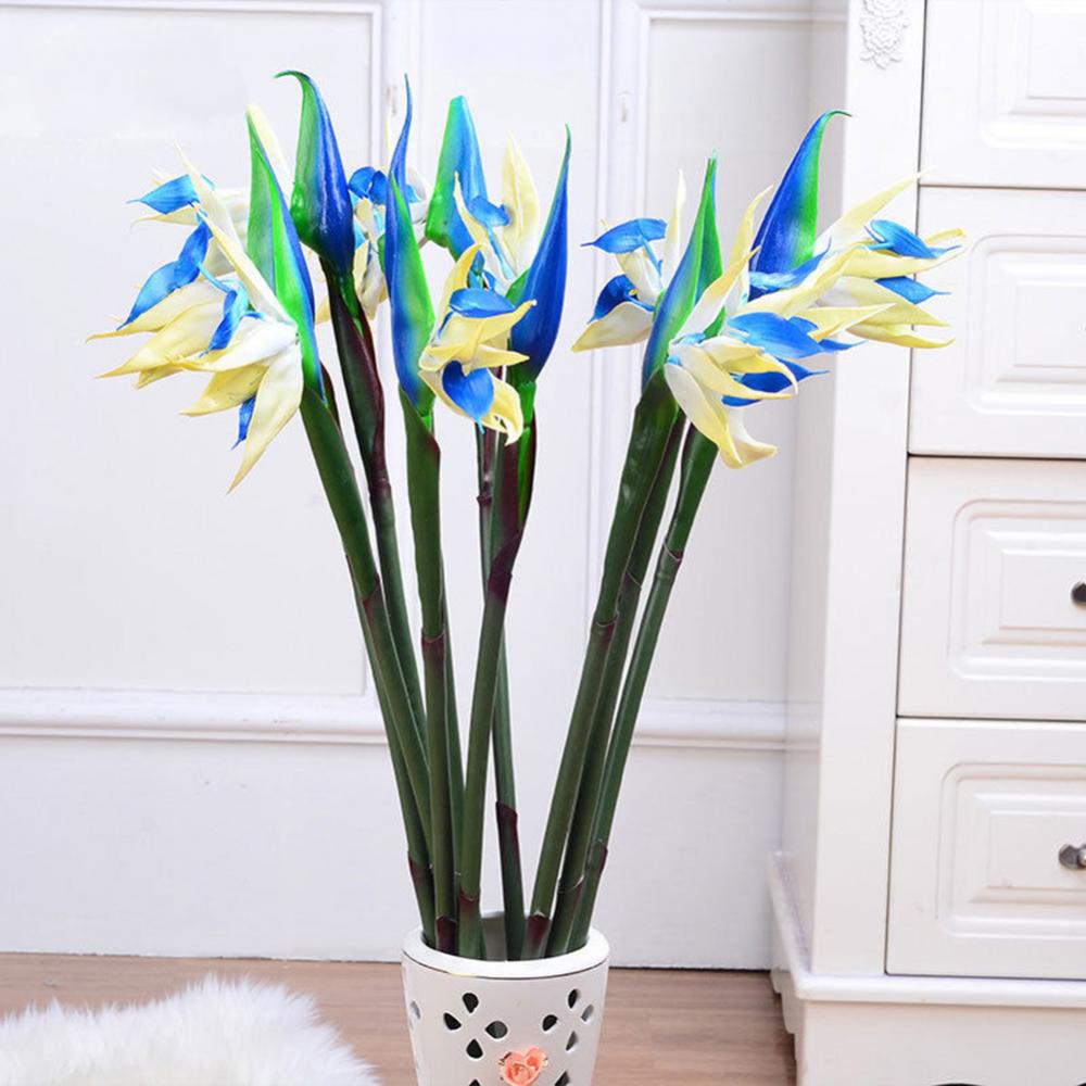 1pc 80cm flor pássaro do paraí - Bird Paradise Strelitzia avaliação e preço