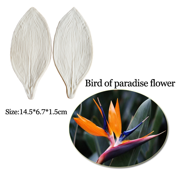 Flor-como o molde do silicone  - Bird Paradise Strelitzia avaliação e preço