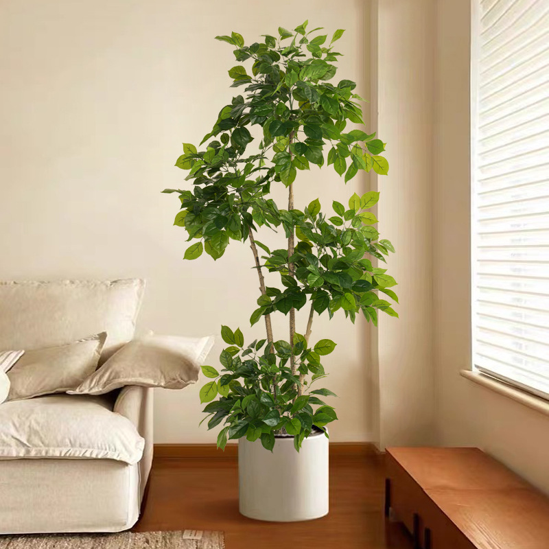 2-78in grandes plantas falsas  - Ficus Lyrata Tree avaliação e preço