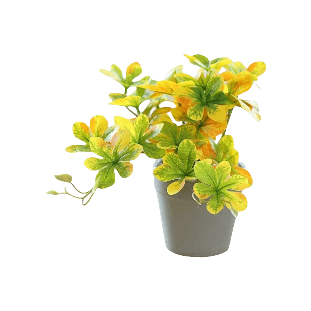 Planta Bonsai Artificial, Plan - Spider Plant Hanging avaliação e preço