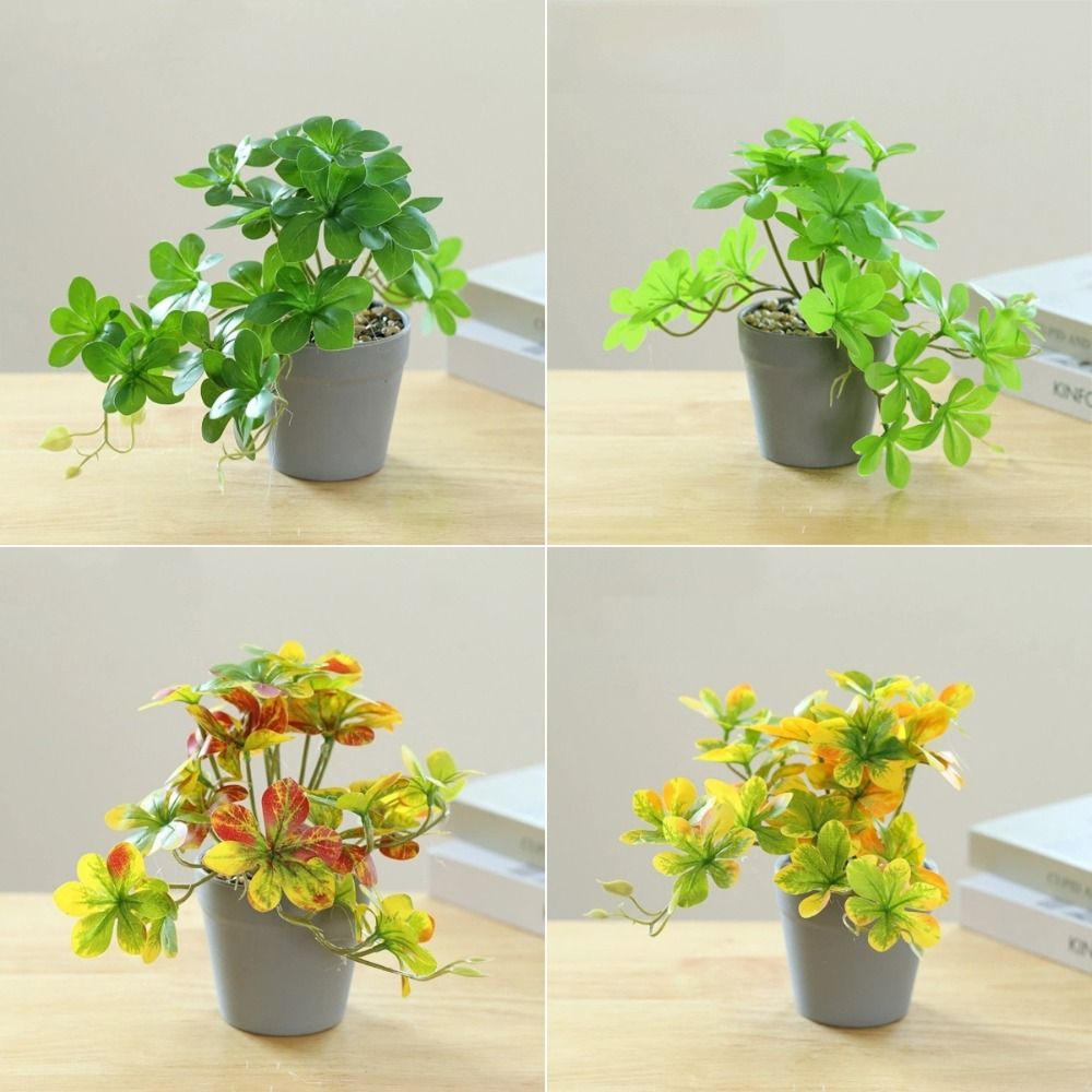 Planta Bonsai Artificial, Plan - Spider Plant Hanging avaliação e preço