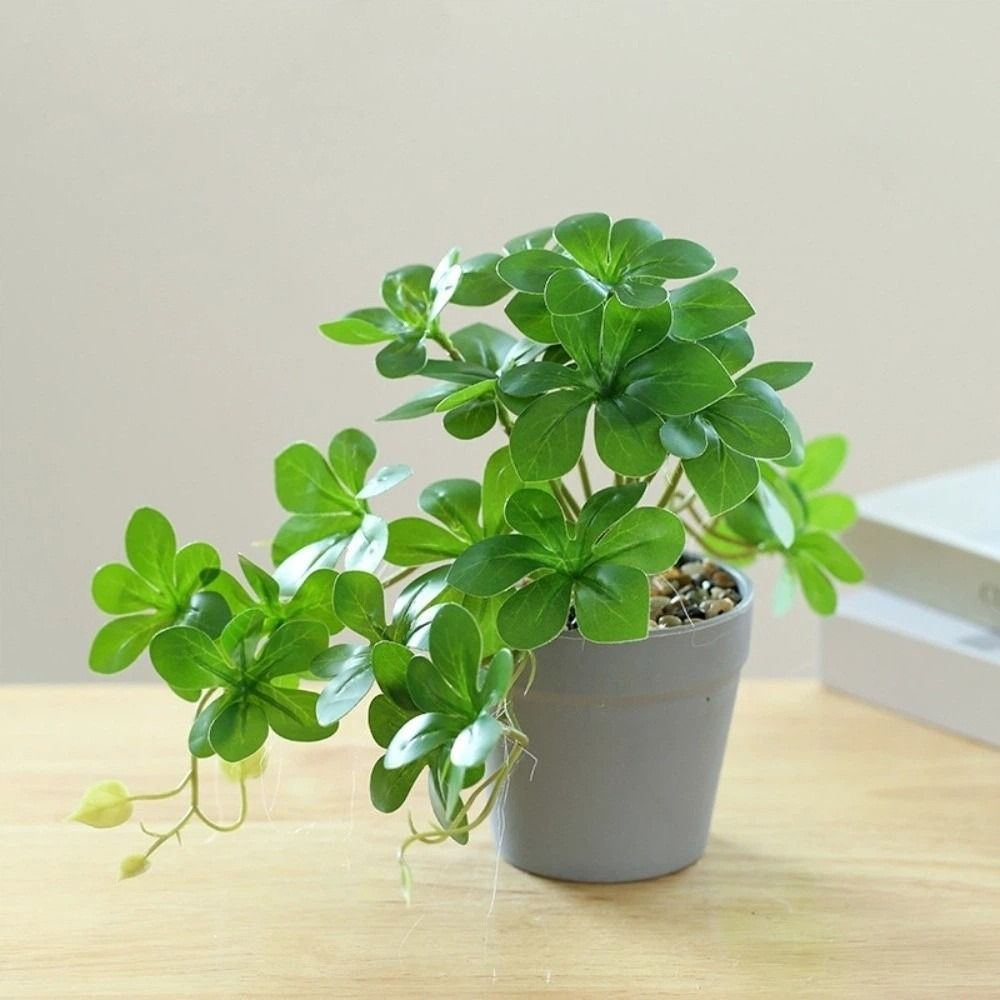 Planta Bonsai Artificial, Plan - Spider Plant Hanging avaliação e preço