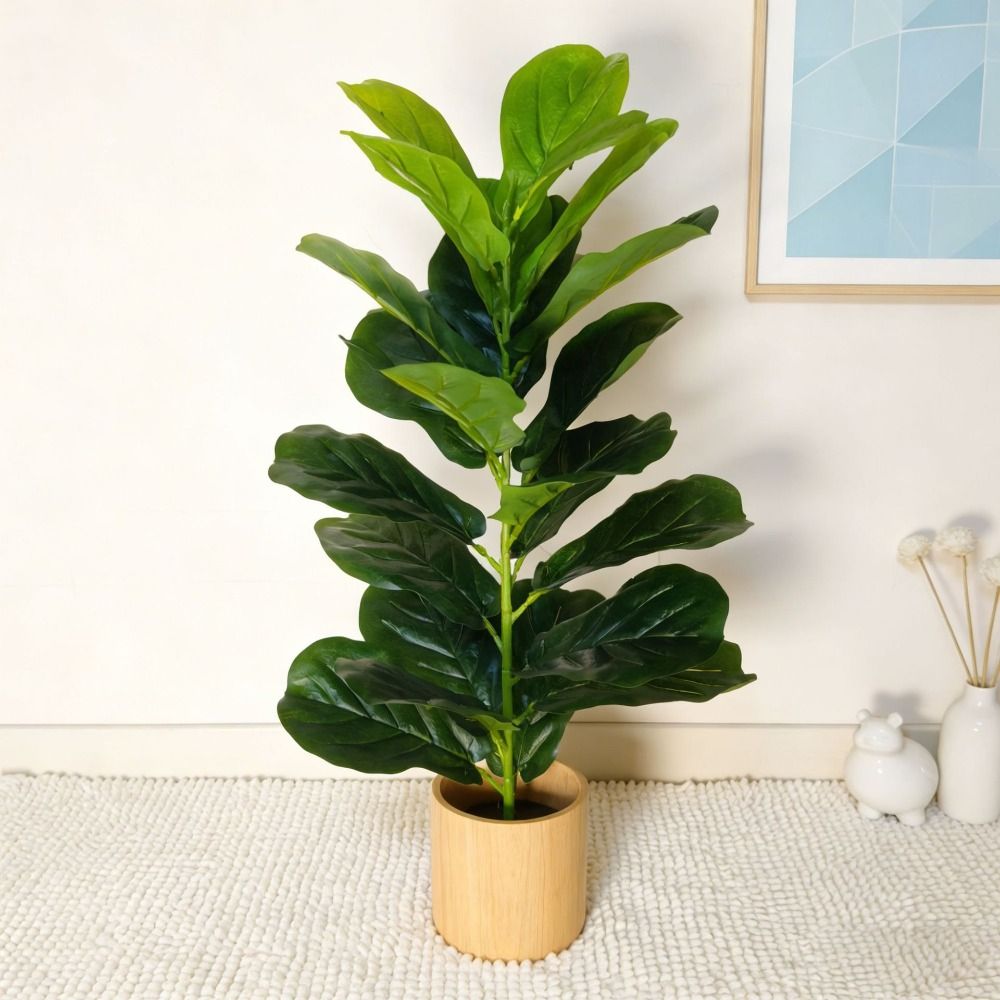 Árvore Artificial de Ficus Ver - Ficus Lyrata Tree avaliação e preço