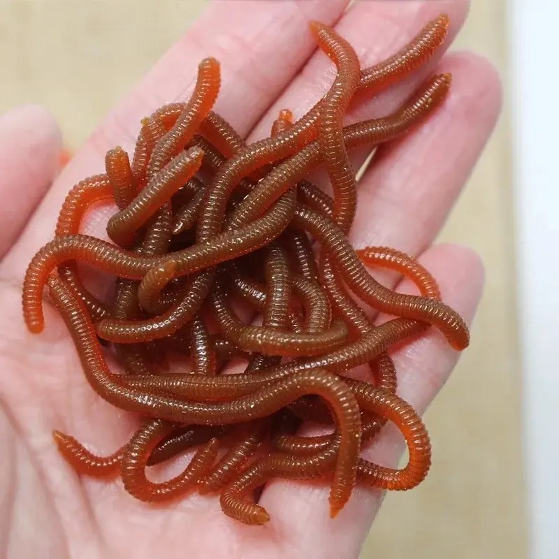 Iscas Artificiais Realistas co - Aglaonema Red avaliação e preço
