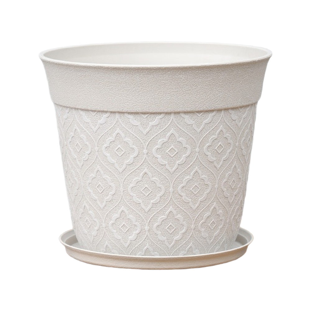 Vaso de flores de 8 polegadas  - Echeveria Succulent avaliação e preço