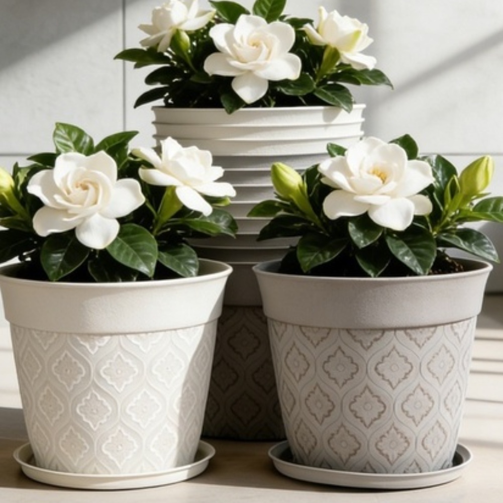 Vaso de flores de 8 polegadas  - Echeveria Succulent avaliação e preço