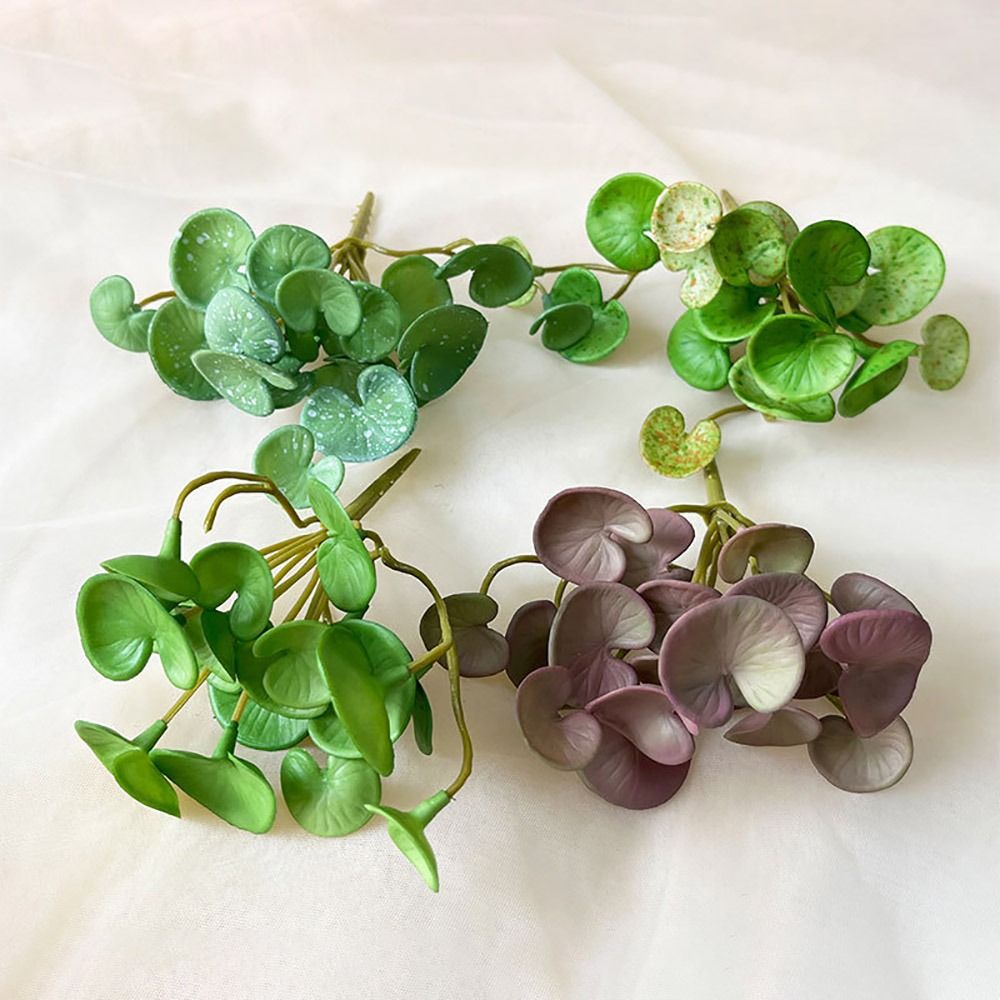 Cola macia planta artificial e - Echeveria Succulent avaliação e preço