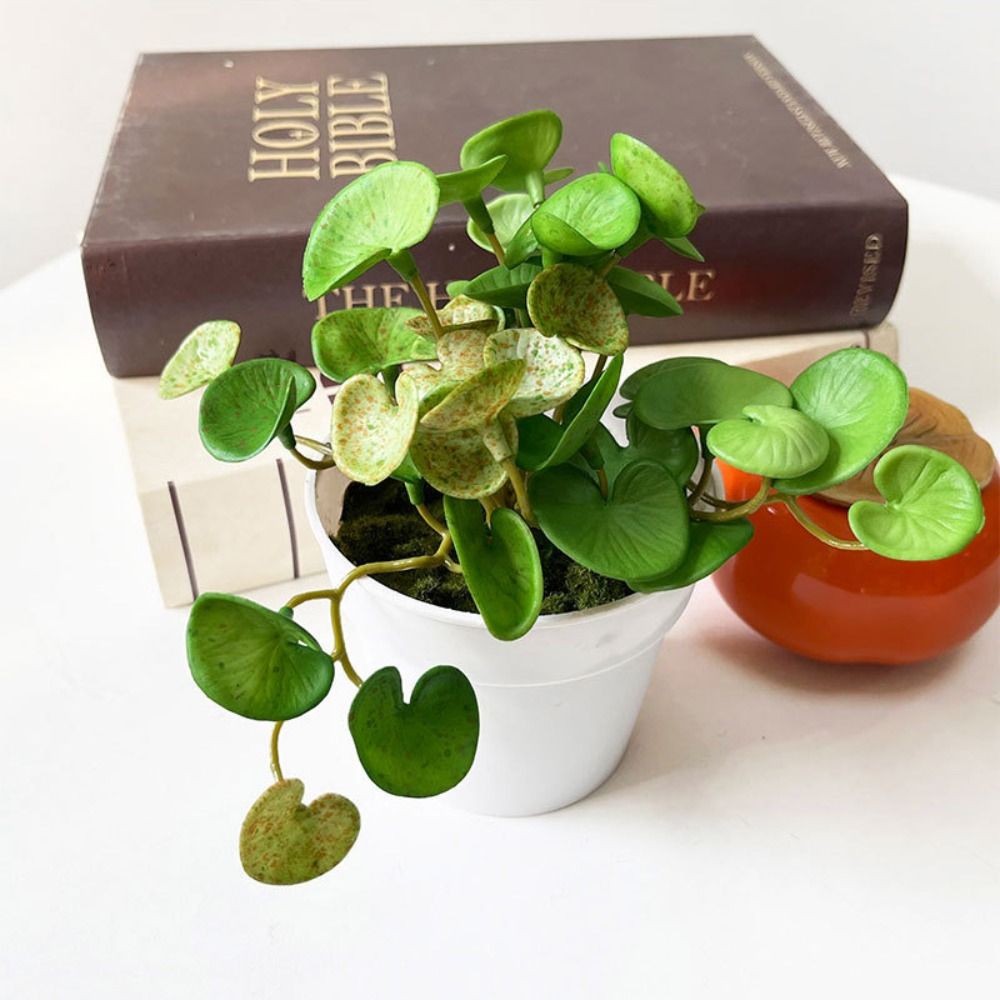 Cola macia planta artificial e - Echeveria Succulent avaliação e preço