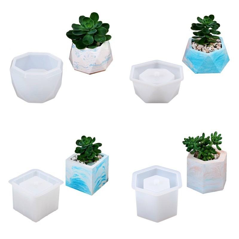 Suculenta vaso de flores molde - Echeveria Succulent avaliação e preço