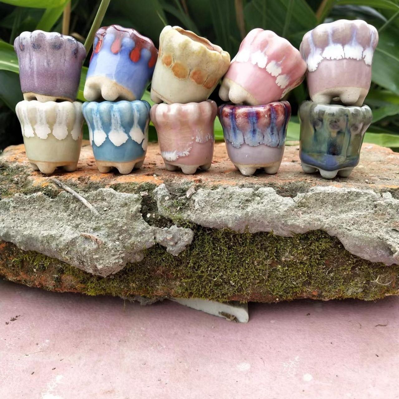 Mini vaso de cerâmica, Vaso do - Echeveria Succulent avaliação e preço