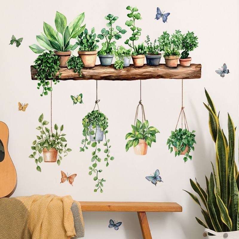 Adesivos de Parede 3D de Plant - Echeveria Succulent avaliação e preço
