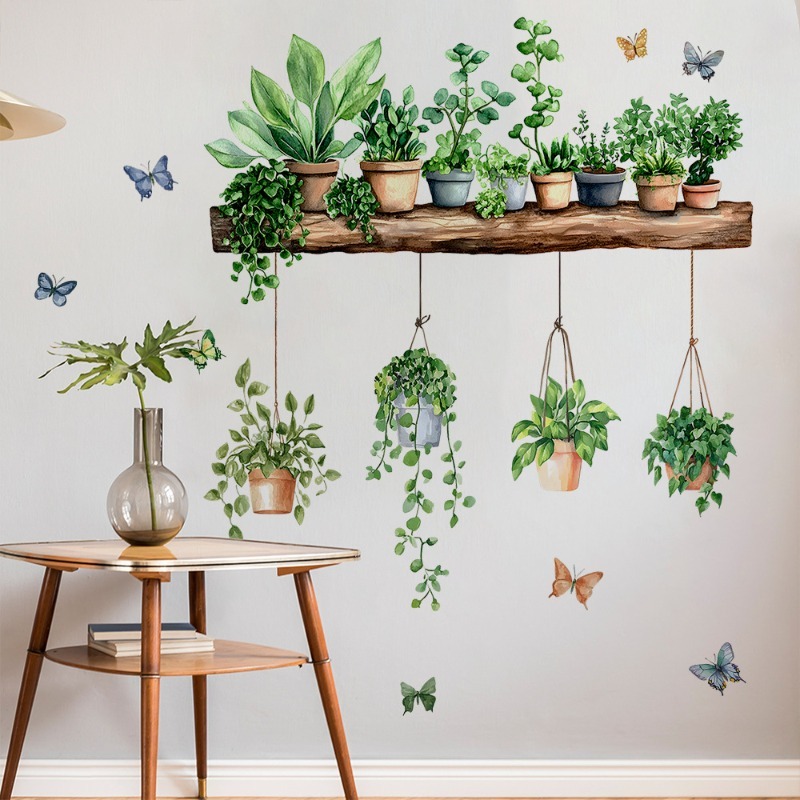 Adesivos de Parede 3D de Plant - Echeveria Succulent avaliação e preço