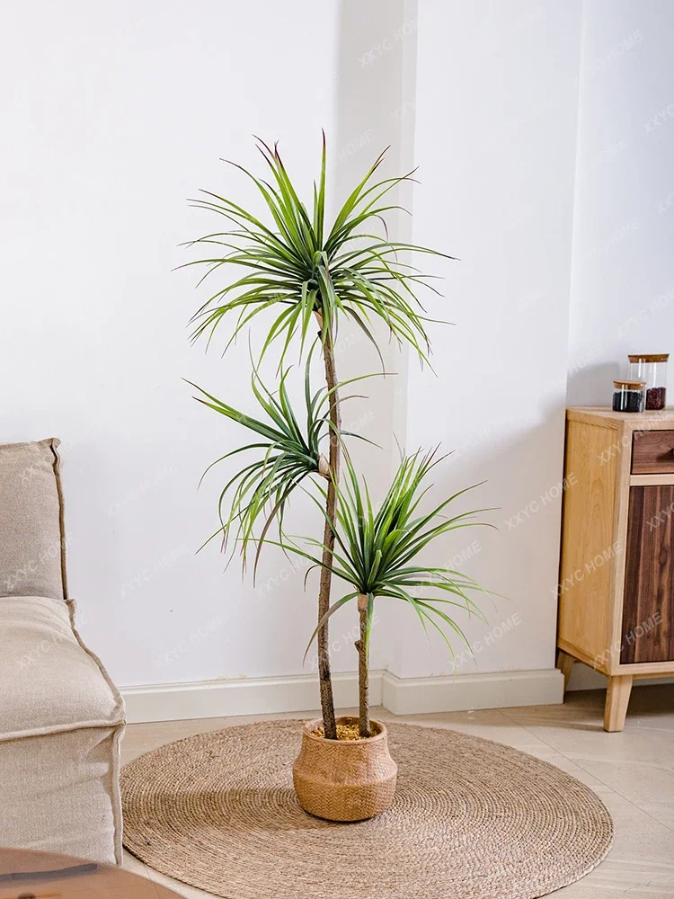 Simulação de luxo leve planta  - Dracaena Marginata avaliação e preço