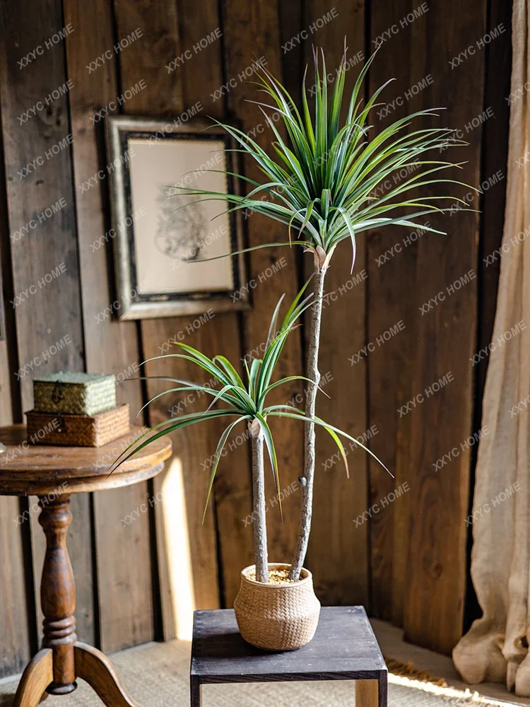Simulação de luxo leve planta  - Dracaena Marginata avaliação e preço