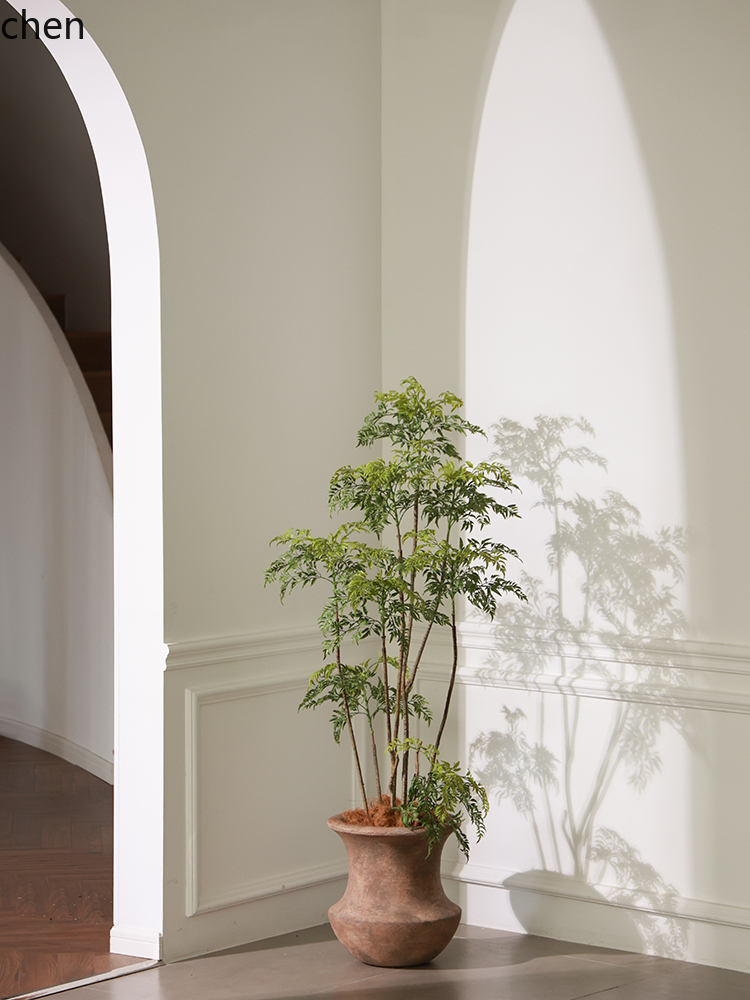 Vaso de Chão LYY com Planta Ve - Ficus Lyrata Tree avaliação e preço