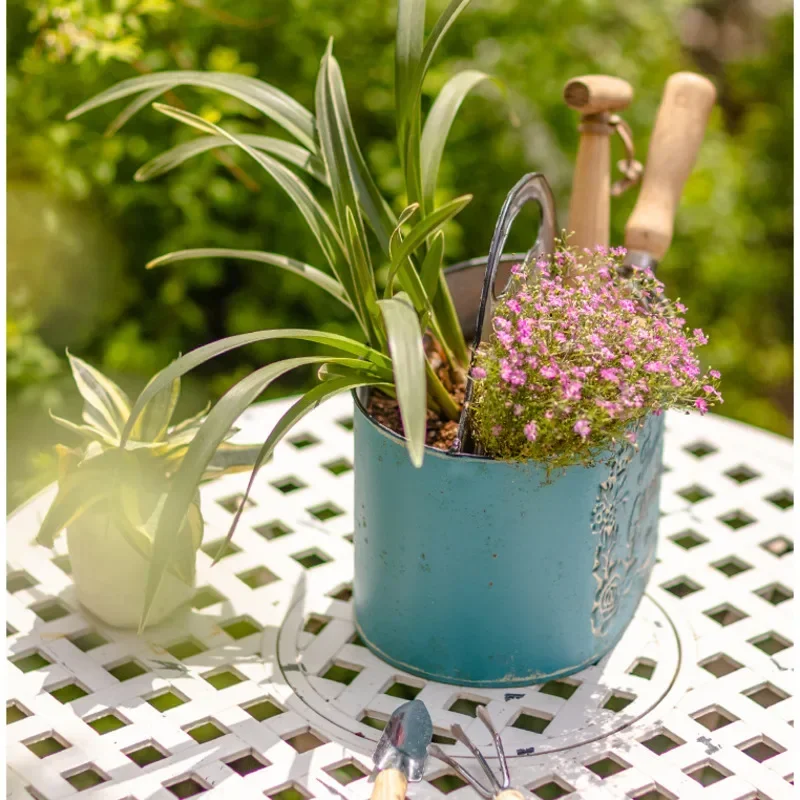 Azul pendurado parede plantado - Spider Plant Hanging avaliação e preço