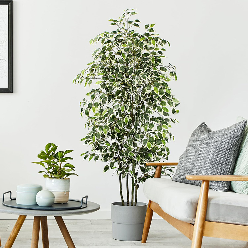 70in artificial ficus árvore f - Ficus Lyrata Tree avaliação e preço
