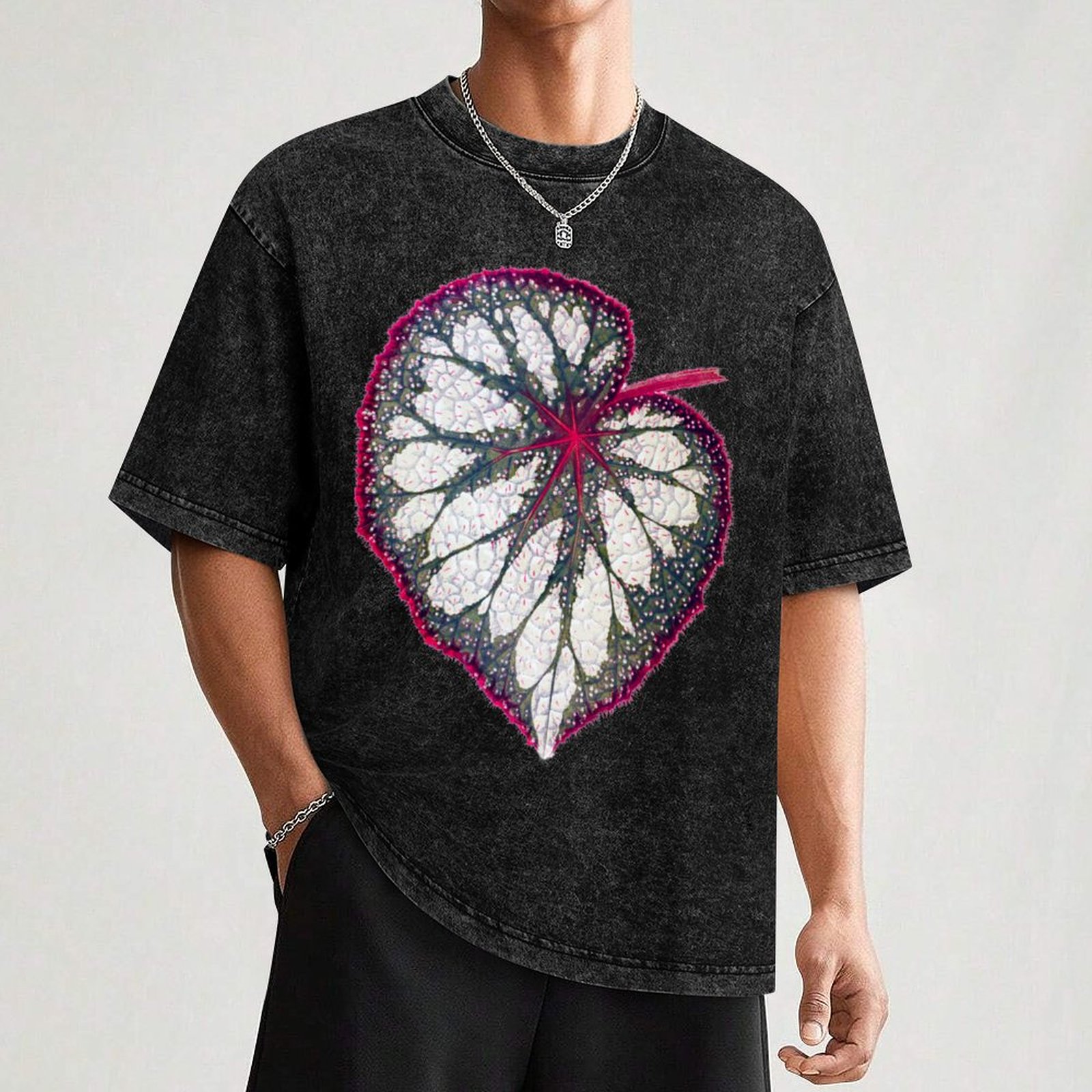 Camiseta Begonia rex, camiseta - Begonia Rex avaliação e preço
