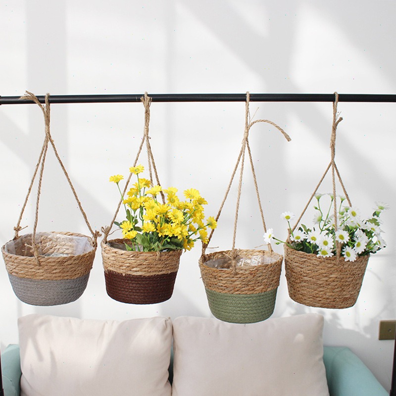 Palha pendurado cesta vaso de  - Spider Plant Hanging avaliação e preço
