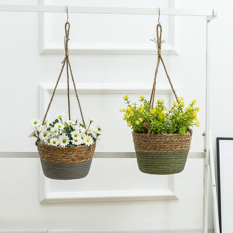 Palha pendurado cesta vaso de  - Spider Plant Hanging avaliação e preço