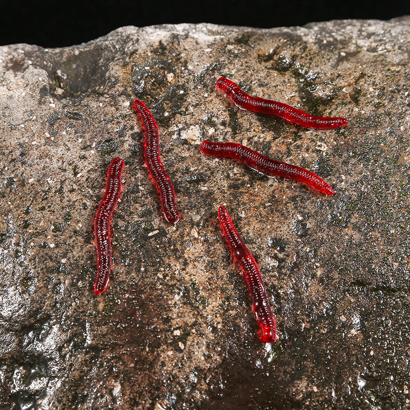 CIBO 50 peças - Iscas Artifici - Aglaonema Red avaliação e preço